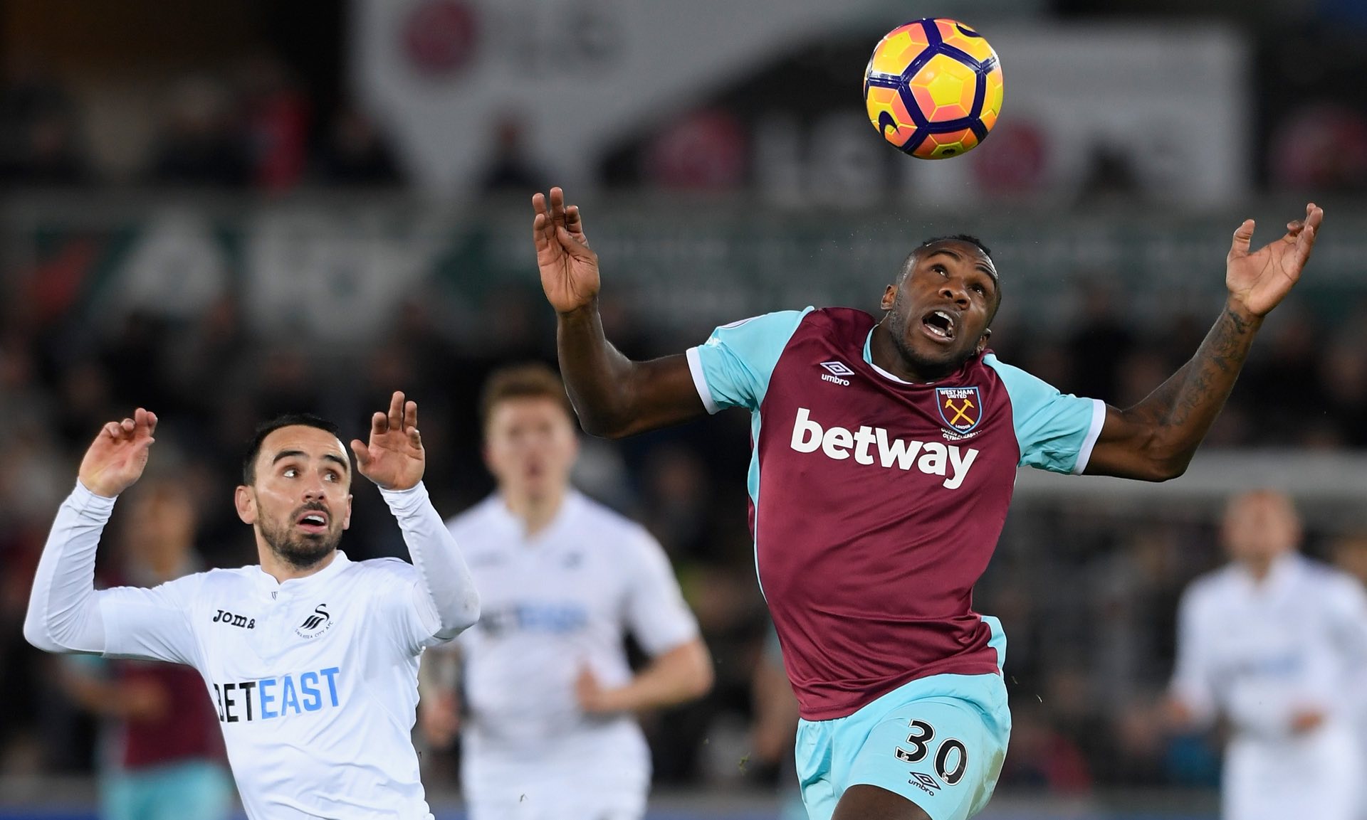 在湖人队的 在湖人队的