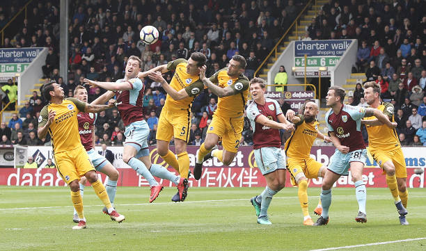 拉菲尼亚需 拉菲尼亚需